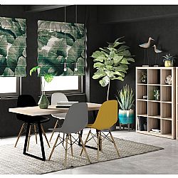 KIVOS 112,2 ??????T??? SONOMA 