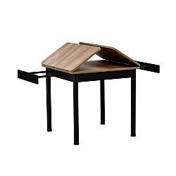 EXTE 80 ??????? ?????????????-? CHESTNUT