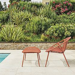 NADIN ????T???? SET 2??? 