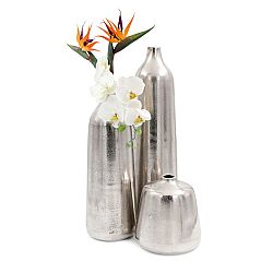 BOTTICELI ???????? ?????S?????? ?S??? ????????? 