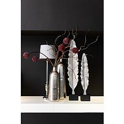 BOTTICELI ???????? ?????S?????? ?S??? ????????? 