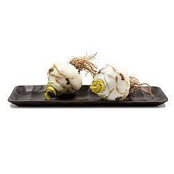 PRISMA ??S??S ????? ?????????